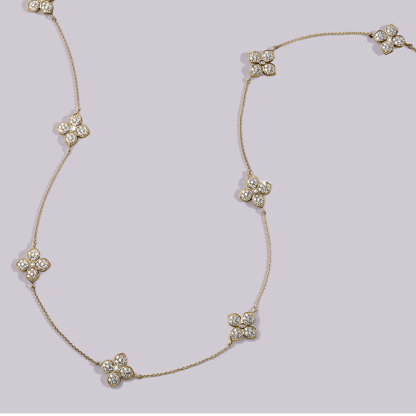 La Fleur Dainty Luxe Radiant Stationed Necklace