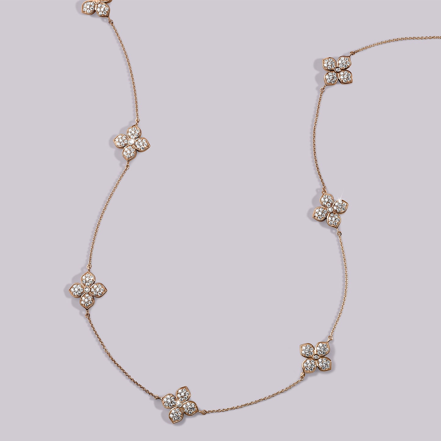 La Fleur Dainty Luxe Radiant Stationed Necklace